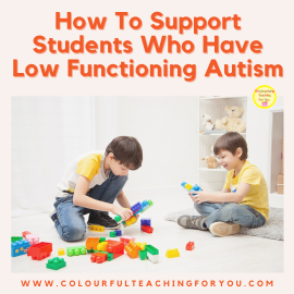 How to Support Students Who Have Low Functioning Autism